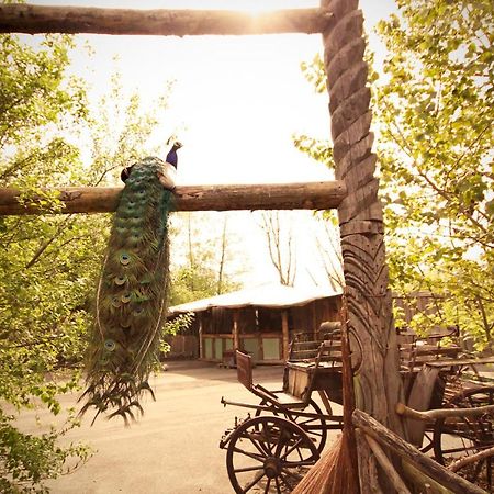 Bamboo Lodge Groningen Bagian luar foto