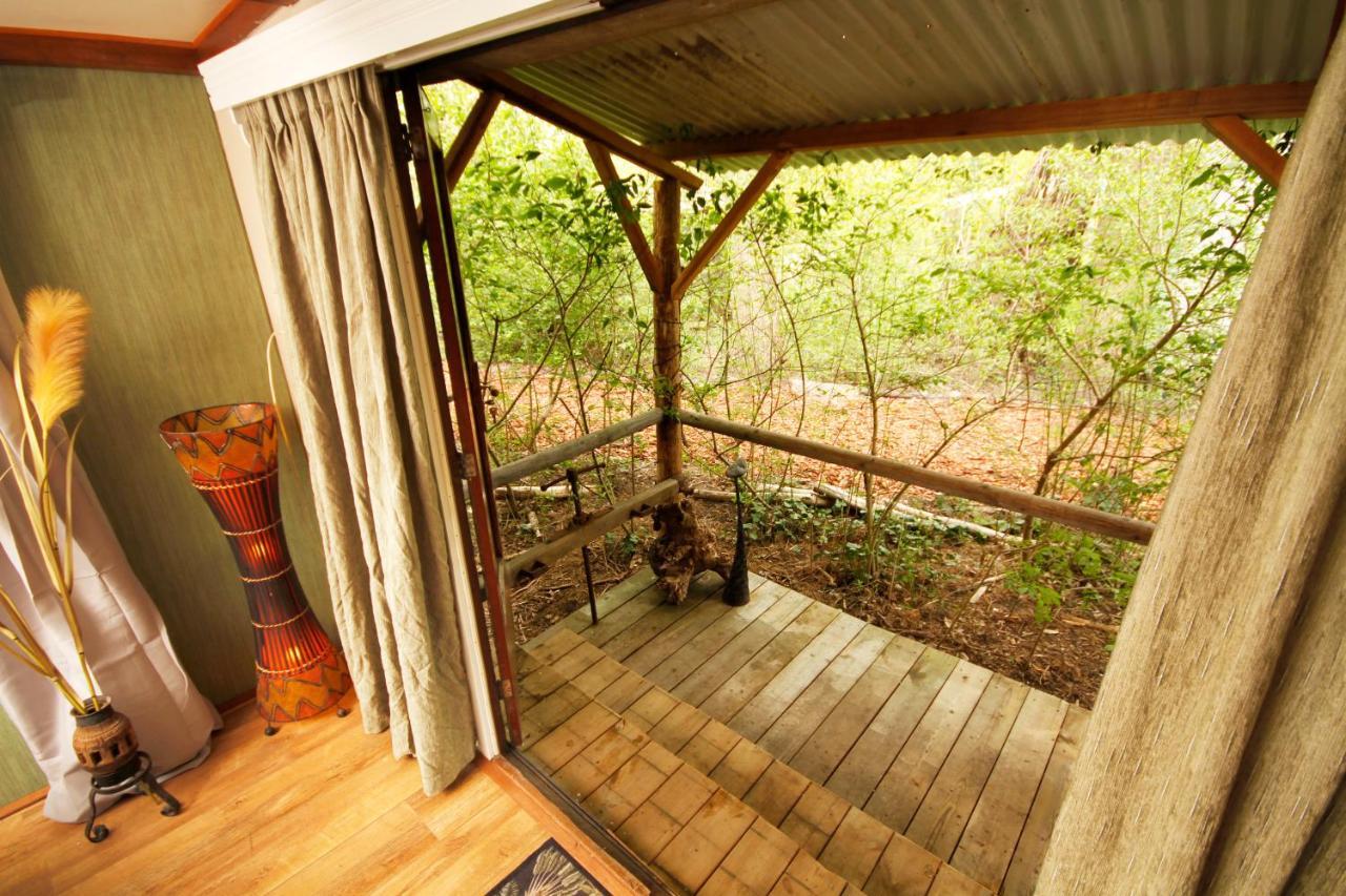 Bamboo Lodge Groningen Bagian luar foto
