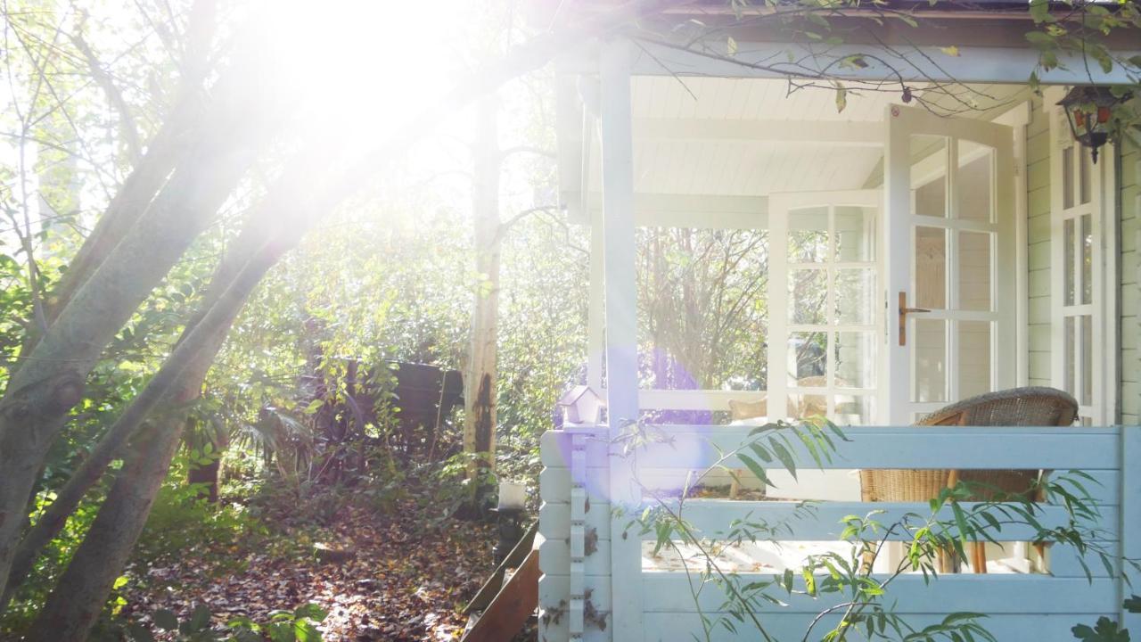 Bamboo Lodge Groningen Bagian luar foto