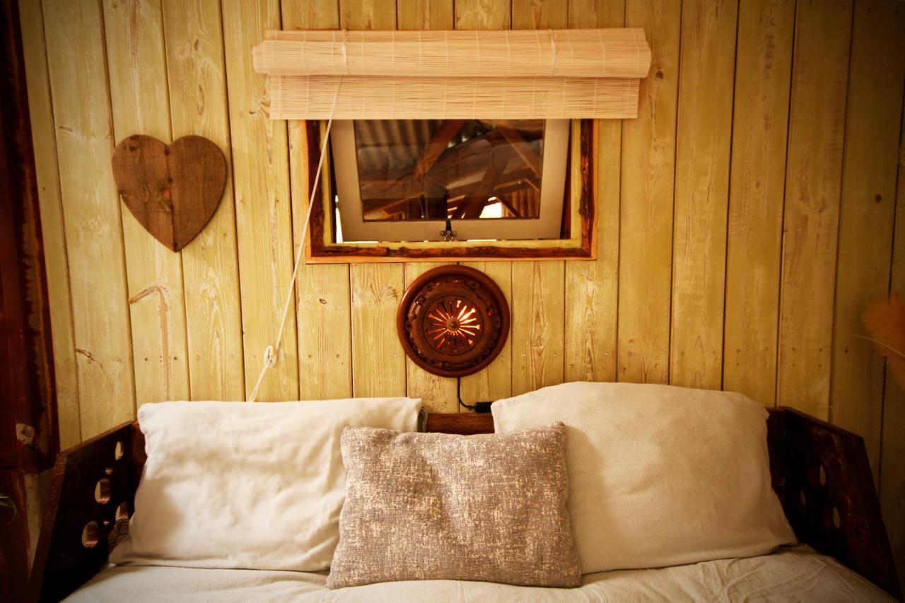 Bamboo Lodge Groningen Bagian luar foto