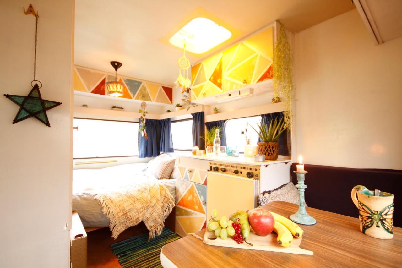 Bamboo Lodge Groningen Bagian luar foto