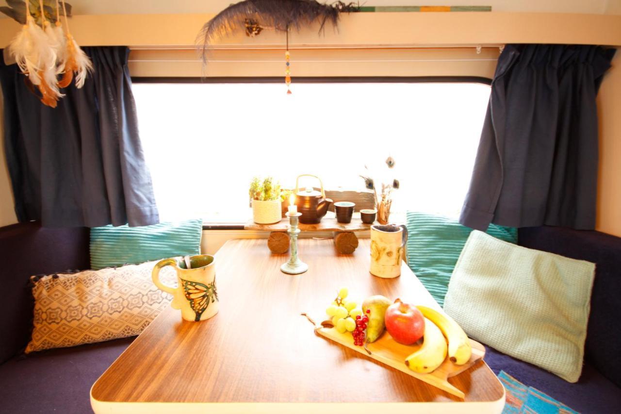 Bamboo Lodge Groningen Bagian luar foto