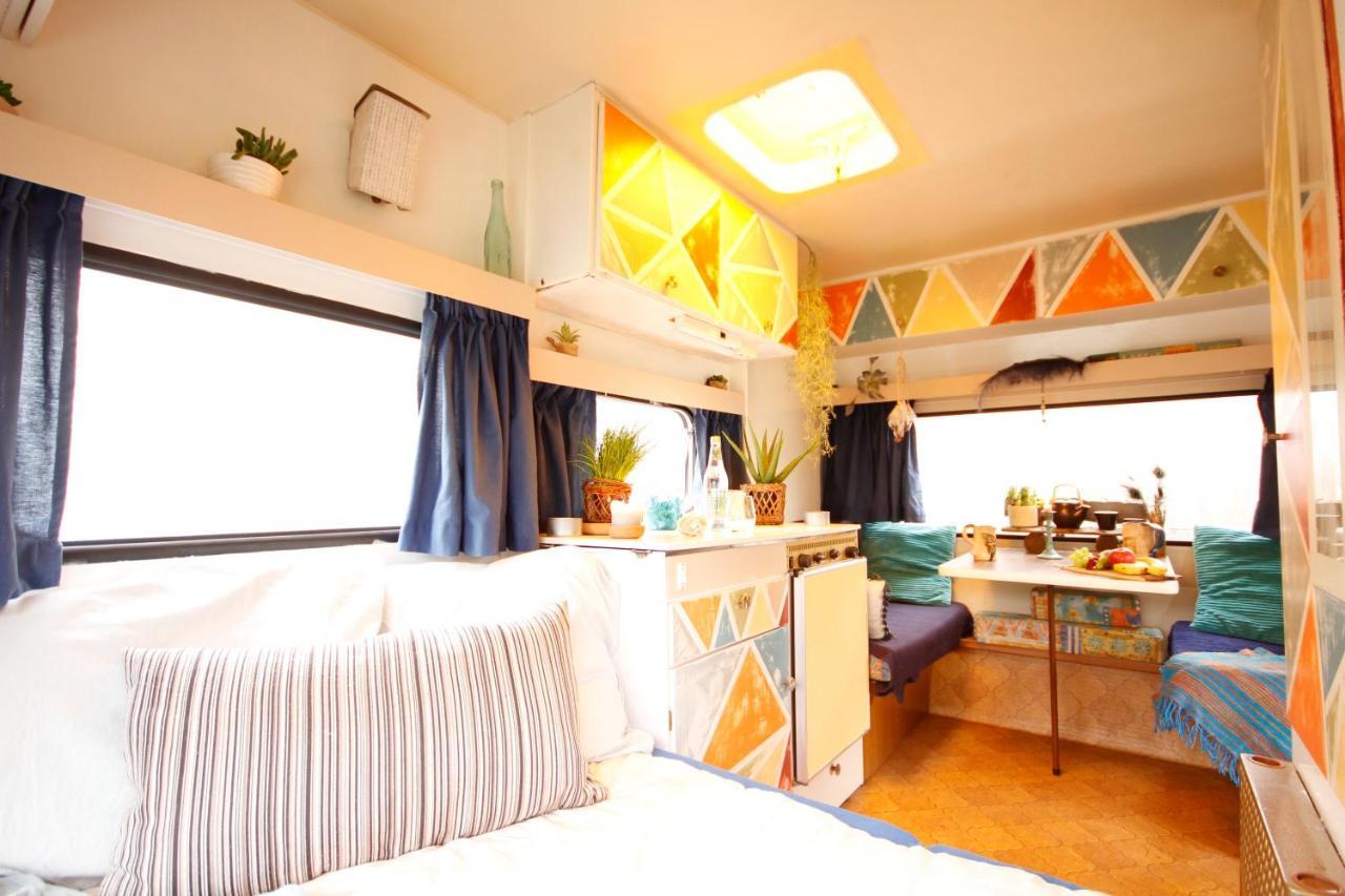 Bamboo Lodge Groningen Bagian luar foto